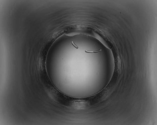 X0000087710316200705041103