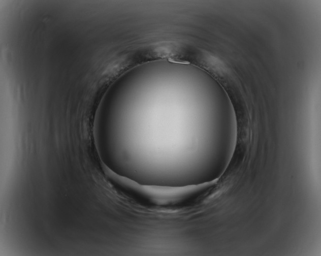 X0000087710317200705041103