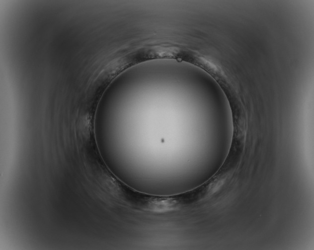 X0000087710321200705041103