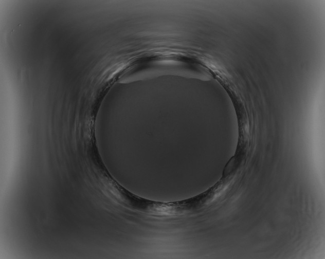 X0000087710325200705041103