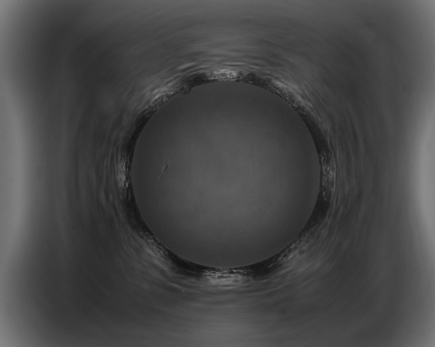 X0000087710331200705041103