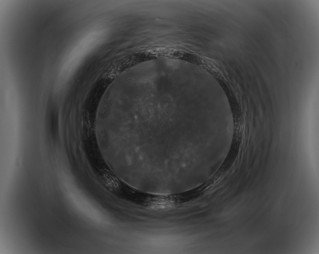 X0000087710335200705041103