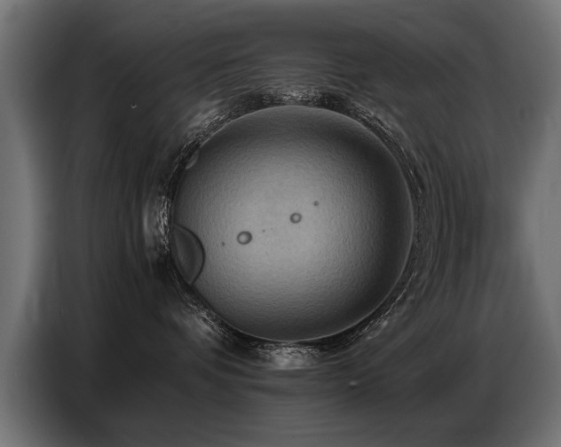 X0000087710336200705041103