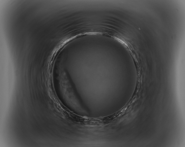 X0000087710337200705041102