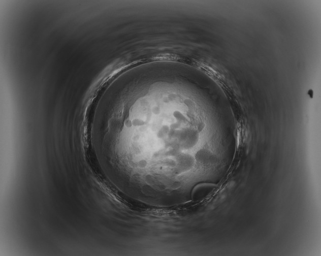 X0000087710339200705041102