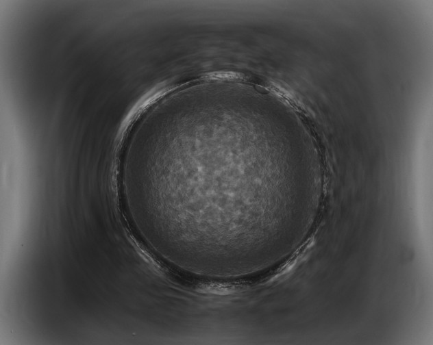 X0000087710341200705041102