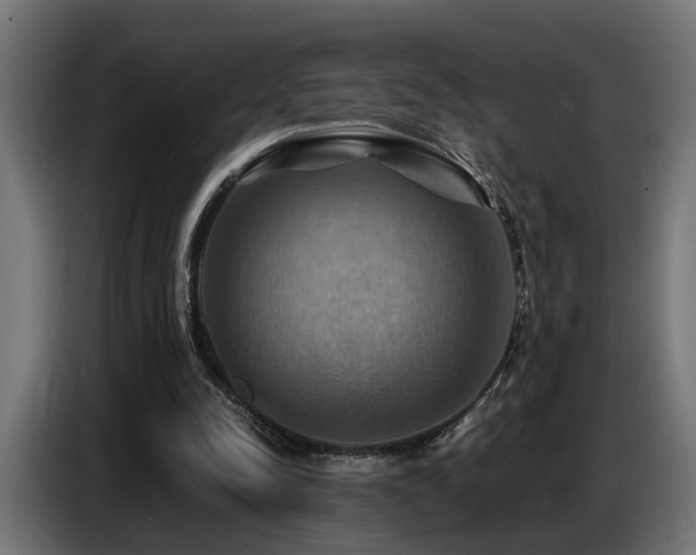 X0000087710342200705041102