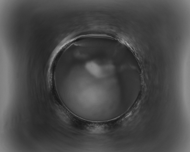X0000087710343200705041102