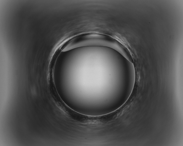 X0000087710344200705041102
