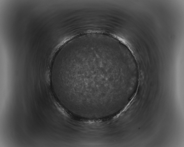 X0000087710345200705041102