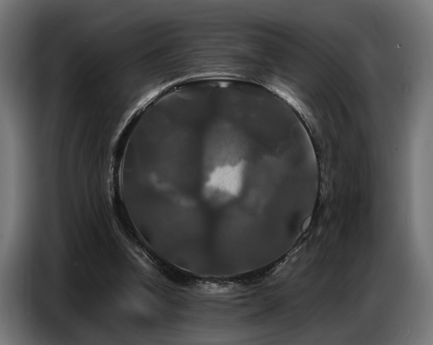 X0000087710346200705041102