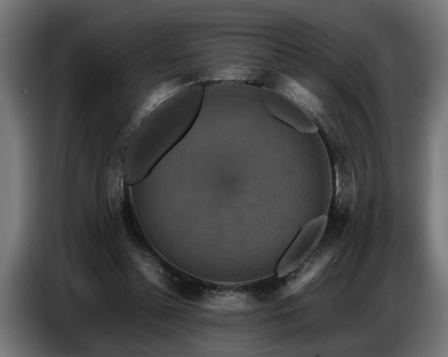 X0000087710348200705041102
