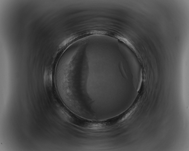 X0000087710349200705041102