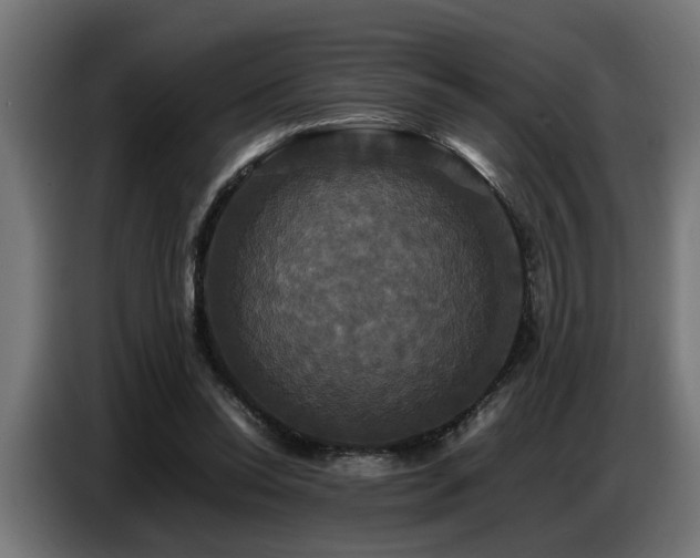 X0000087710350200705041102