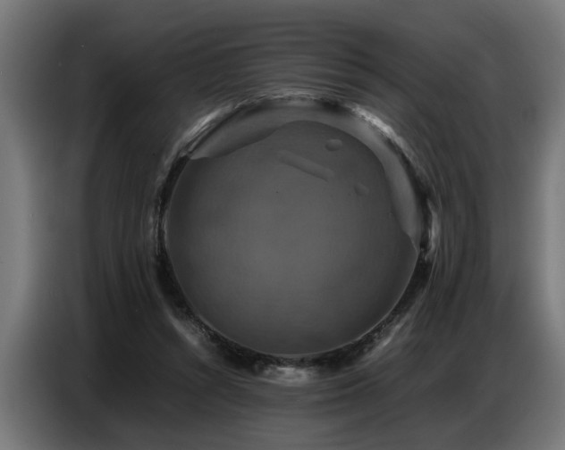 X0000087710352200705041102