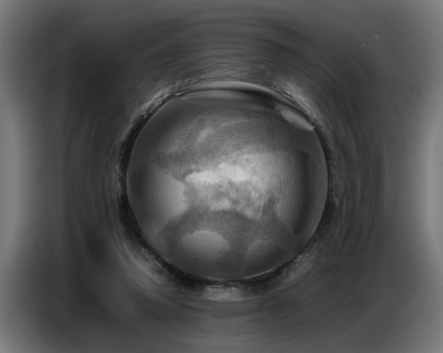 X0000087710354200705041102