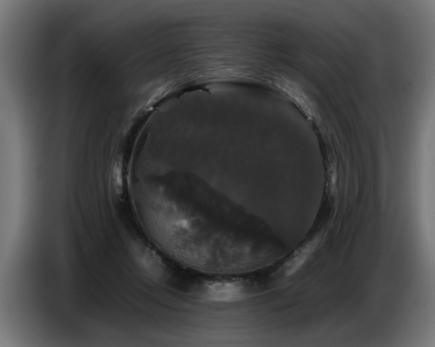 X0000087710358200705041103