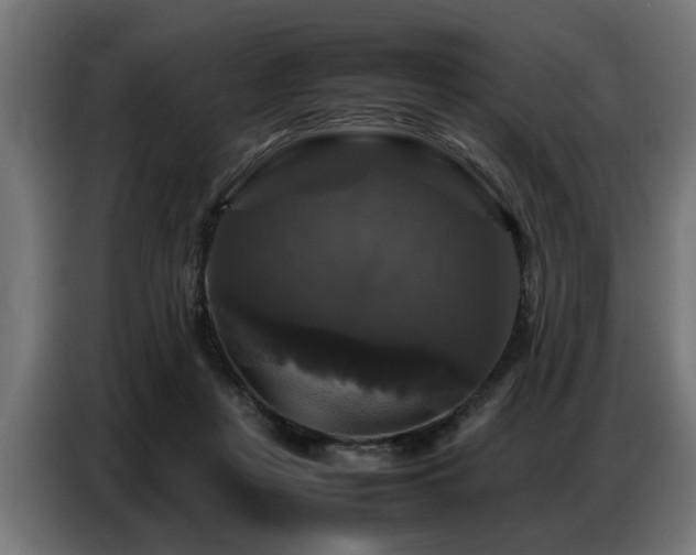 X0000087710359200705041103