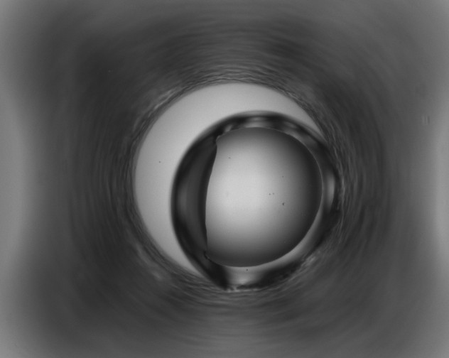 X0000087710360200705041103