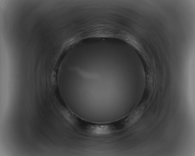 X0000087710361200705041103