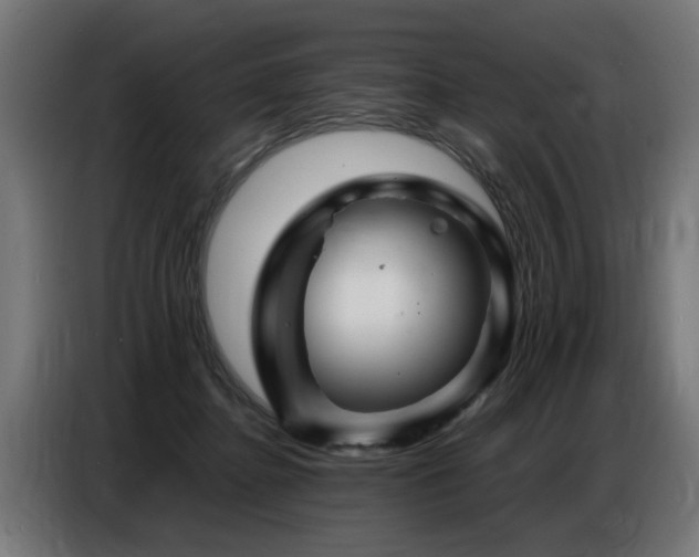 X0000087710364200705041103