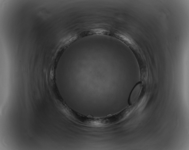 X0000087710365200705041103