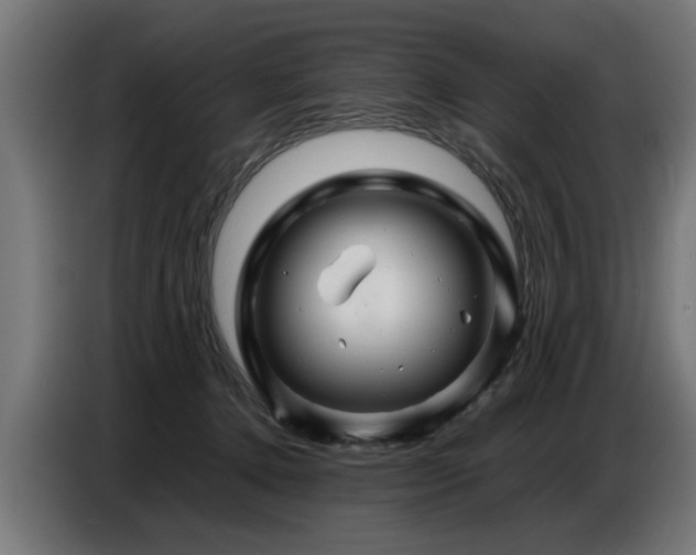 X0000087710368200705041103