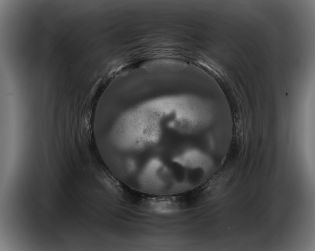 X0000087710373200705041103