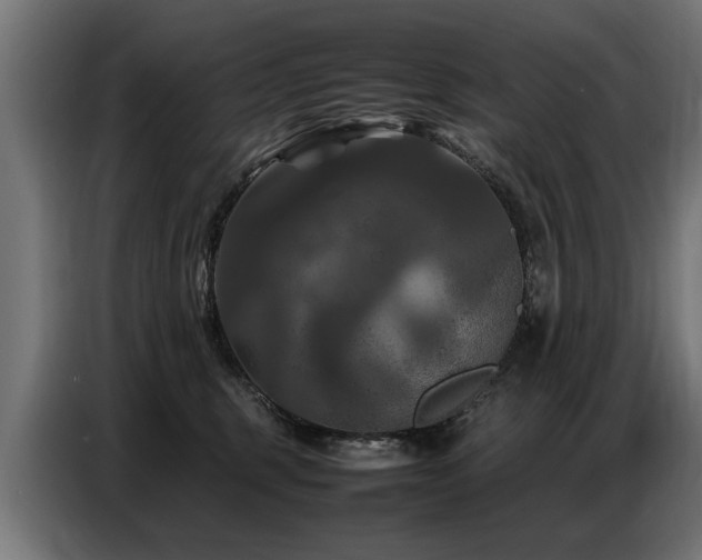 X0000087710375200705041103