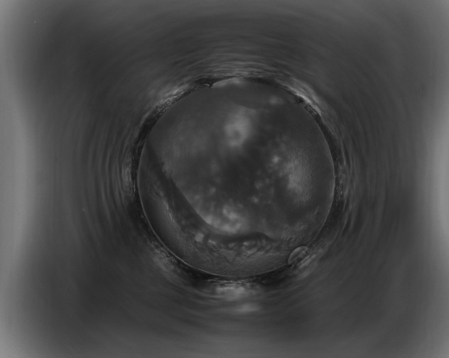 X0000087710377200705041103