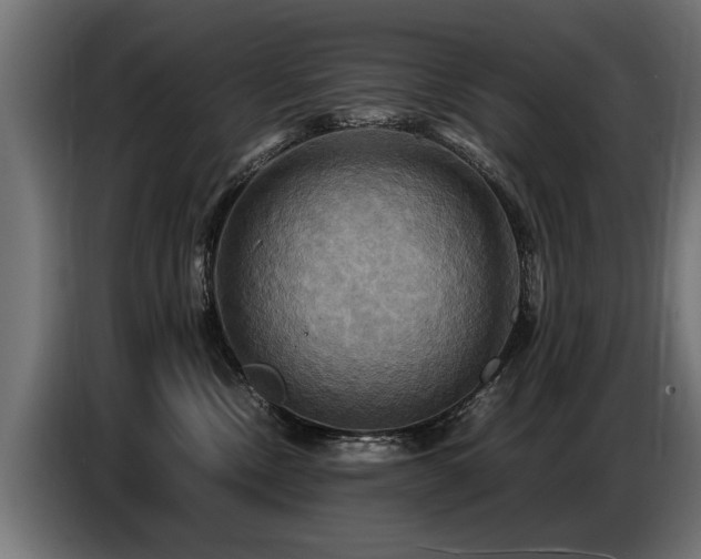 X0000087710378200705041103