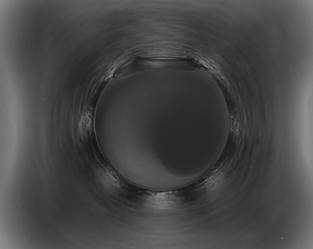 X0000087710382200705041103