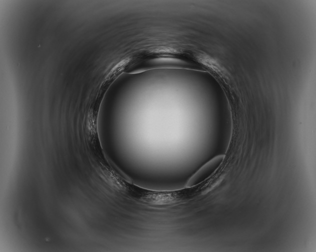 X0000087710384200705041103