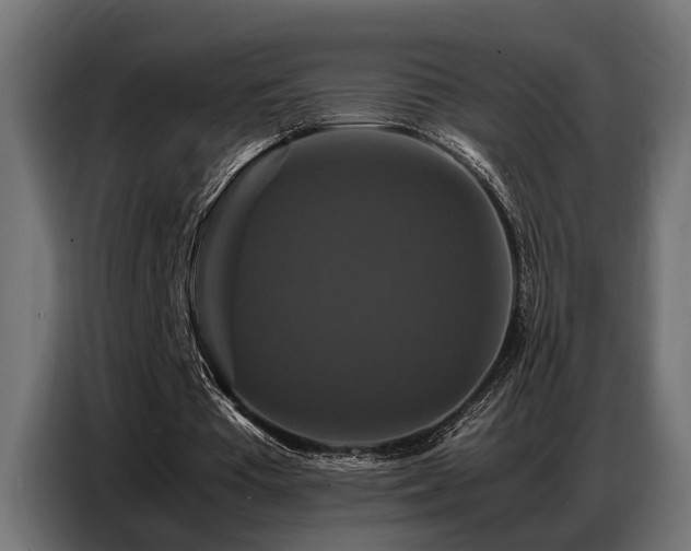 X0000087710385200705041102