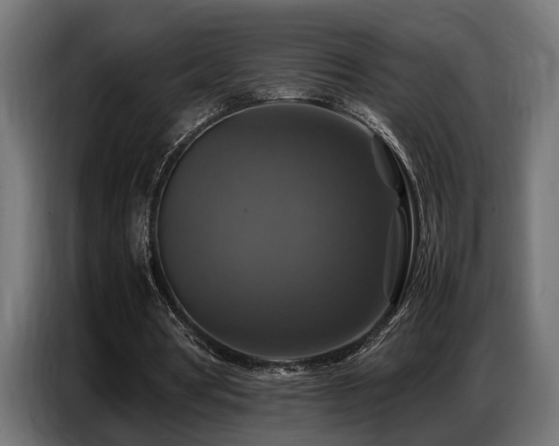 X0000087710386200705041102