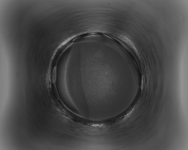 X0000087710388200705041102