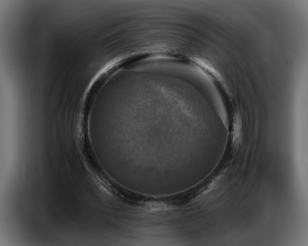 X0000087710392200705041102