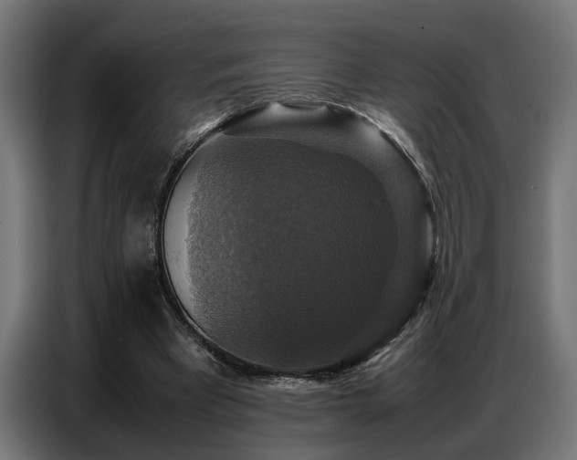 X0000087710393200705041102
