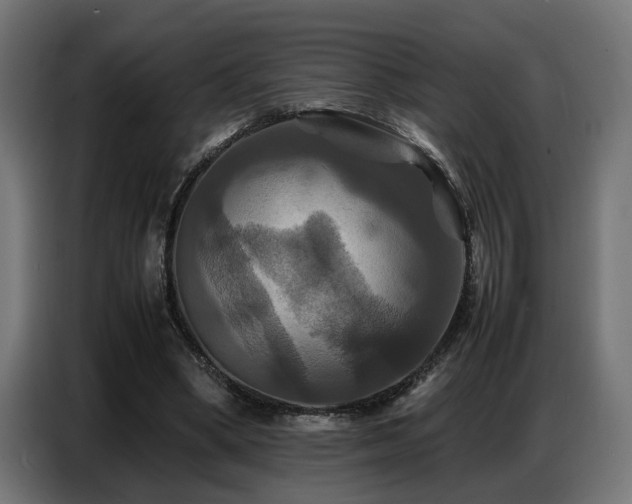X0000087710394200705041102