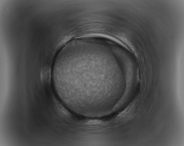 X0000087710397200705041102