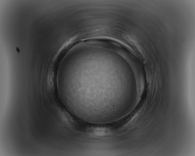 X0000087710400200705041102