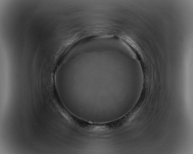 X0000087710401200705041102