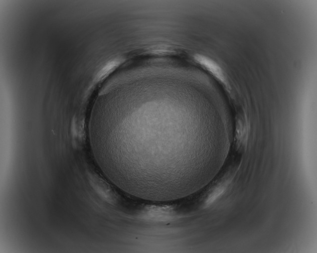 X0000087710403200705041102
