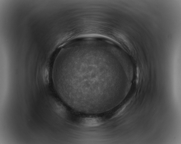 X0000087710404200705041102