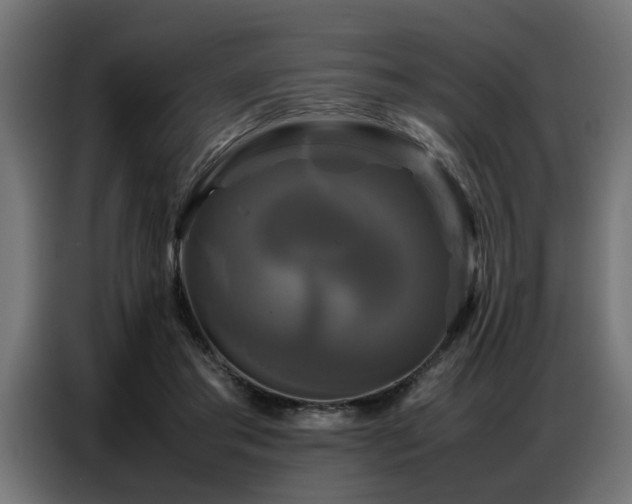 X0000087710405200705041102