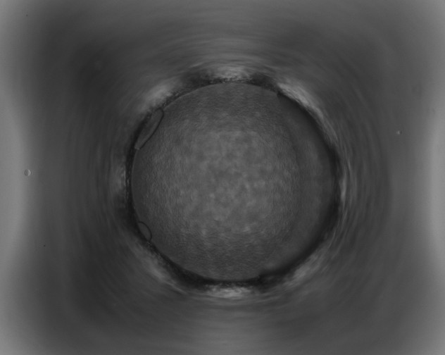 X0000087710407200705041102