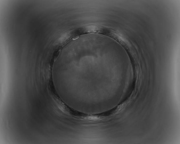 X0000087710413200705041102