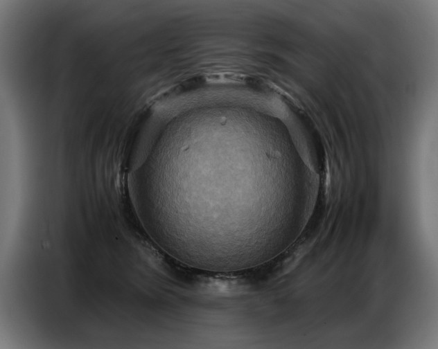 X0000087710420200705041102