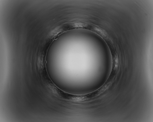 X0000087710422200705041102