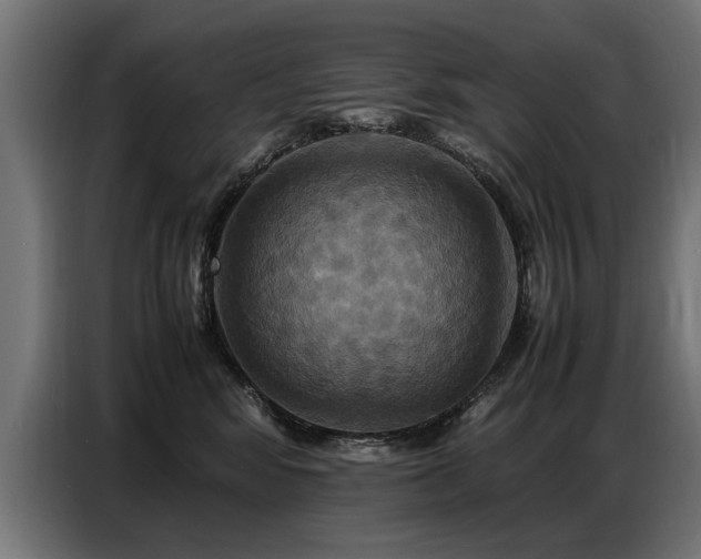 X0000087710424200705041102